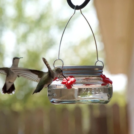 Mason Jar Hummingbird Feeder