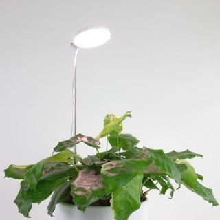 MOSSIFY Adjustable LED Light