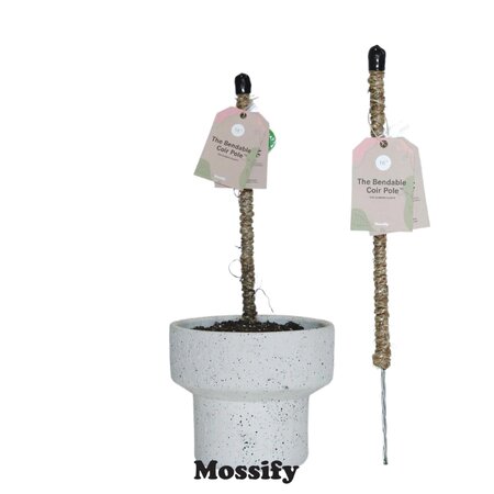 MOSSIFY Bendable Coir Pole 16"