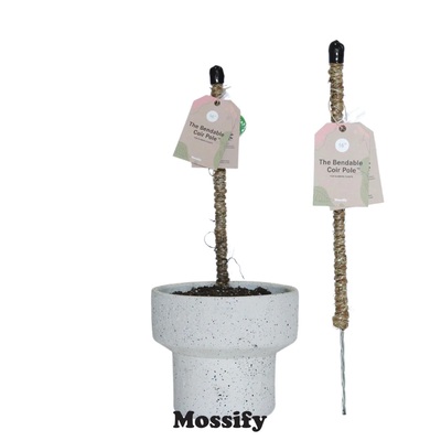 Coir Pole with Tape 54"