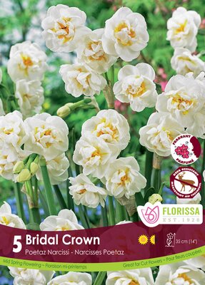 Narcissus Bridal Crown