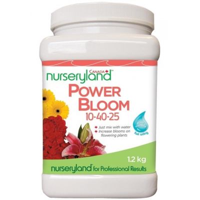 Nurseryland Powerbloom - image 1