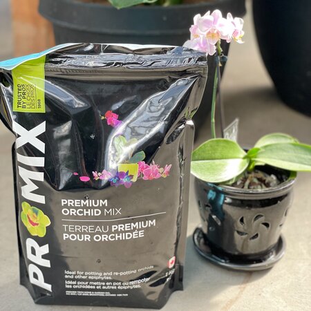 Orchid Potting Mix 5L