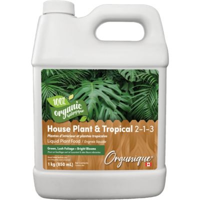 Orgunique House Plant and Tropical Food - image 1