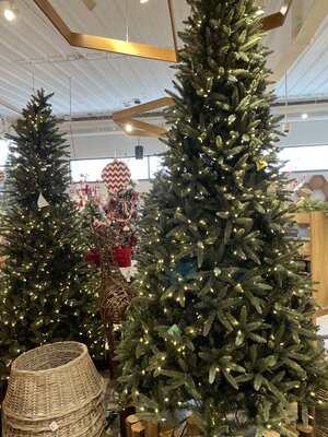 7.5' Pencil Tree - image 3