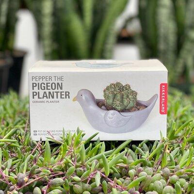 Pepper the Pigeon Planter