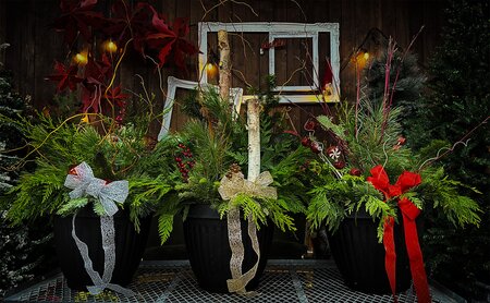 Planter Party