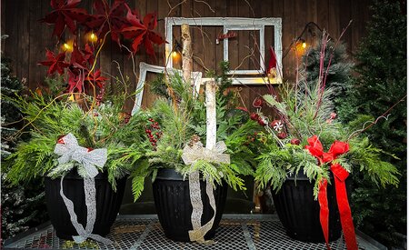 Planter Party