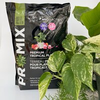 Potting Soil