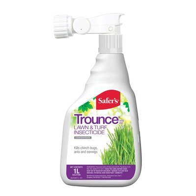 Safers Trounce Lawn/Turf