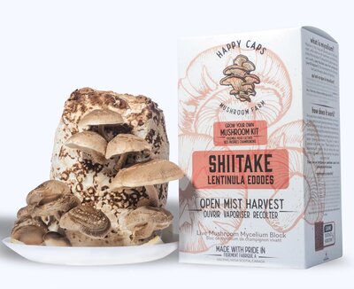 Shiitake Mushroom Kit