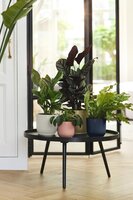 Small Indoor Pottery