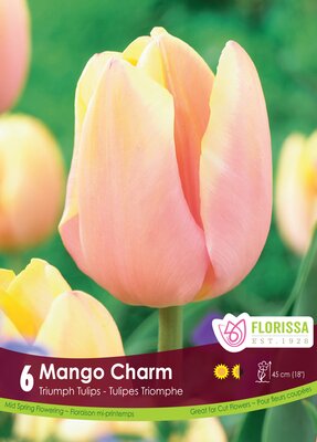 Tulip Mango Charm