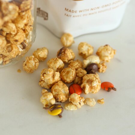 Peanut Butter Lover Popcorn - image 1