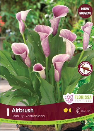 Calla Lily Airbrush