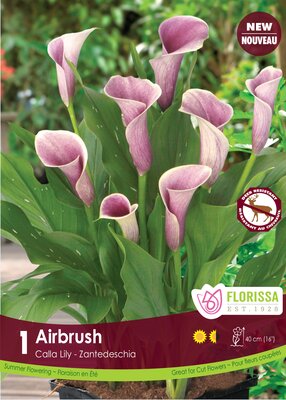 Calla Lily Airbrush
