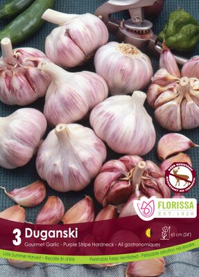 Garlic Duganski