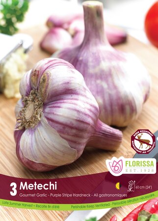 Garlic Metechi