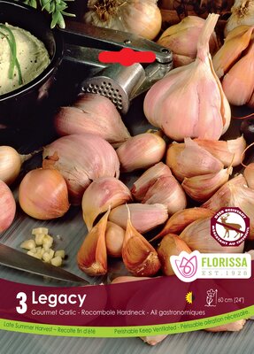 Garlic Nov Legacy