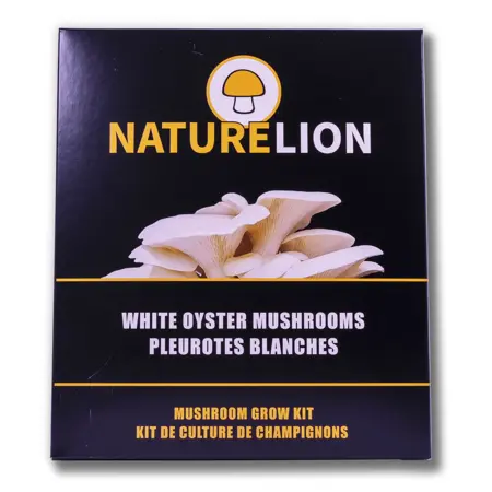 White Oyster Mushroom Kit