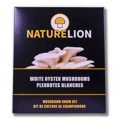 White Oyster Mushroom Kit