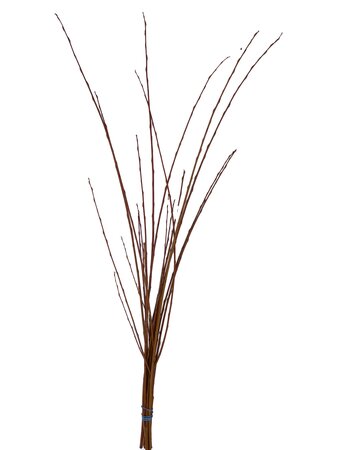 Willow Flame Bunch - image 1