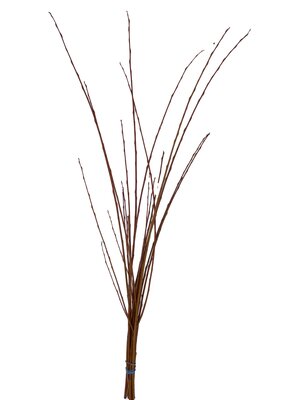 Willow Flame Bunch - image 2